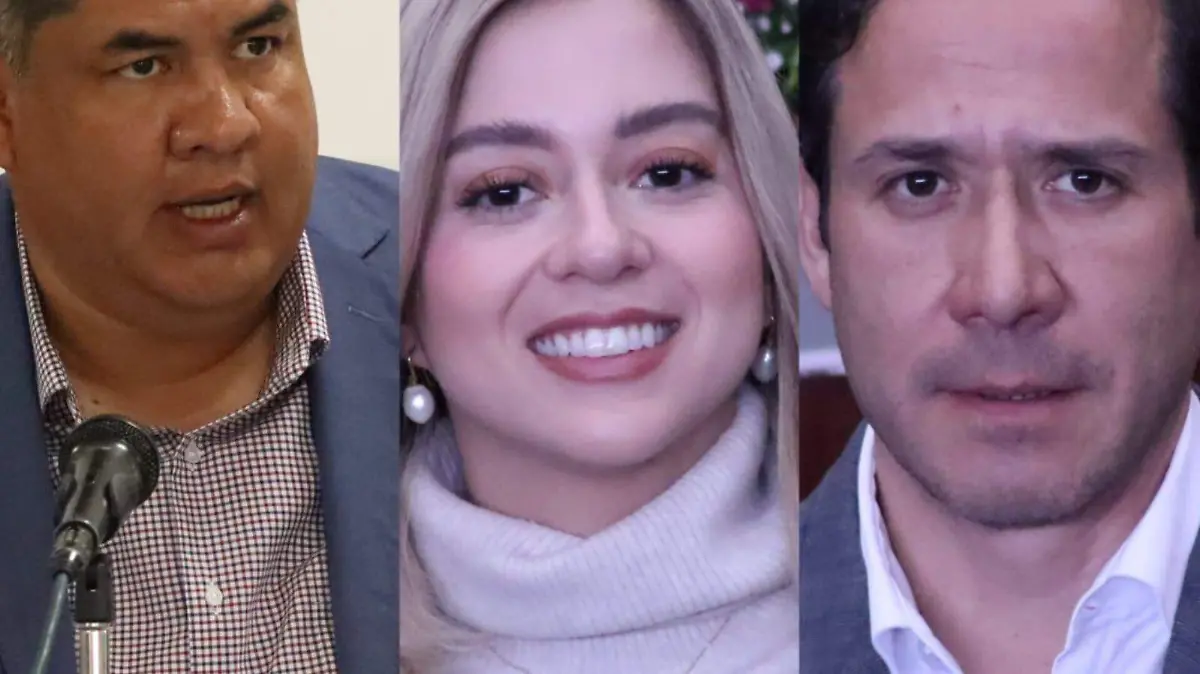 diputados