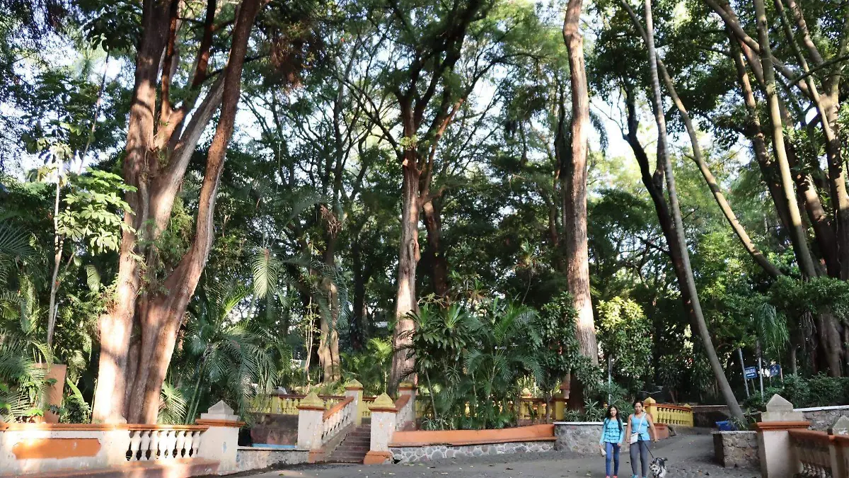 parque-melchor-ocampo-cuernavaca