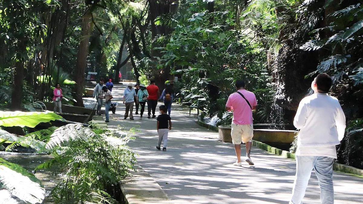 limpieza-parque-chapultepec-1