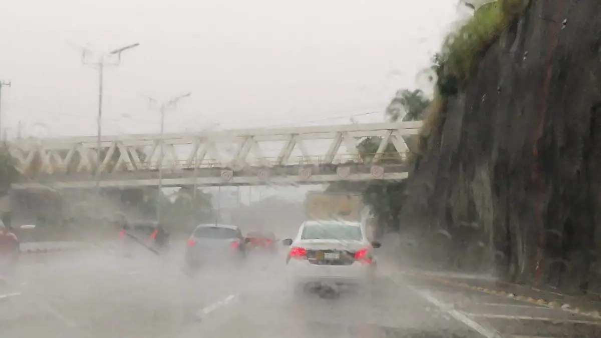 WhatsApp Image 2024-09-27 at 8.08.37 AM