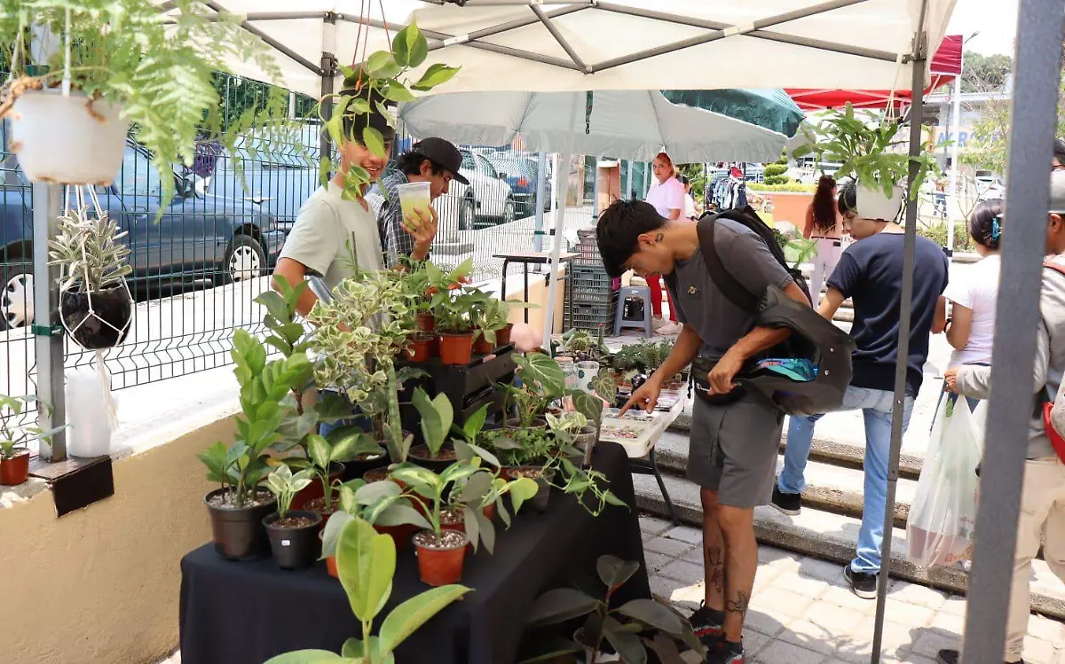 mercado-ecológico-uaem