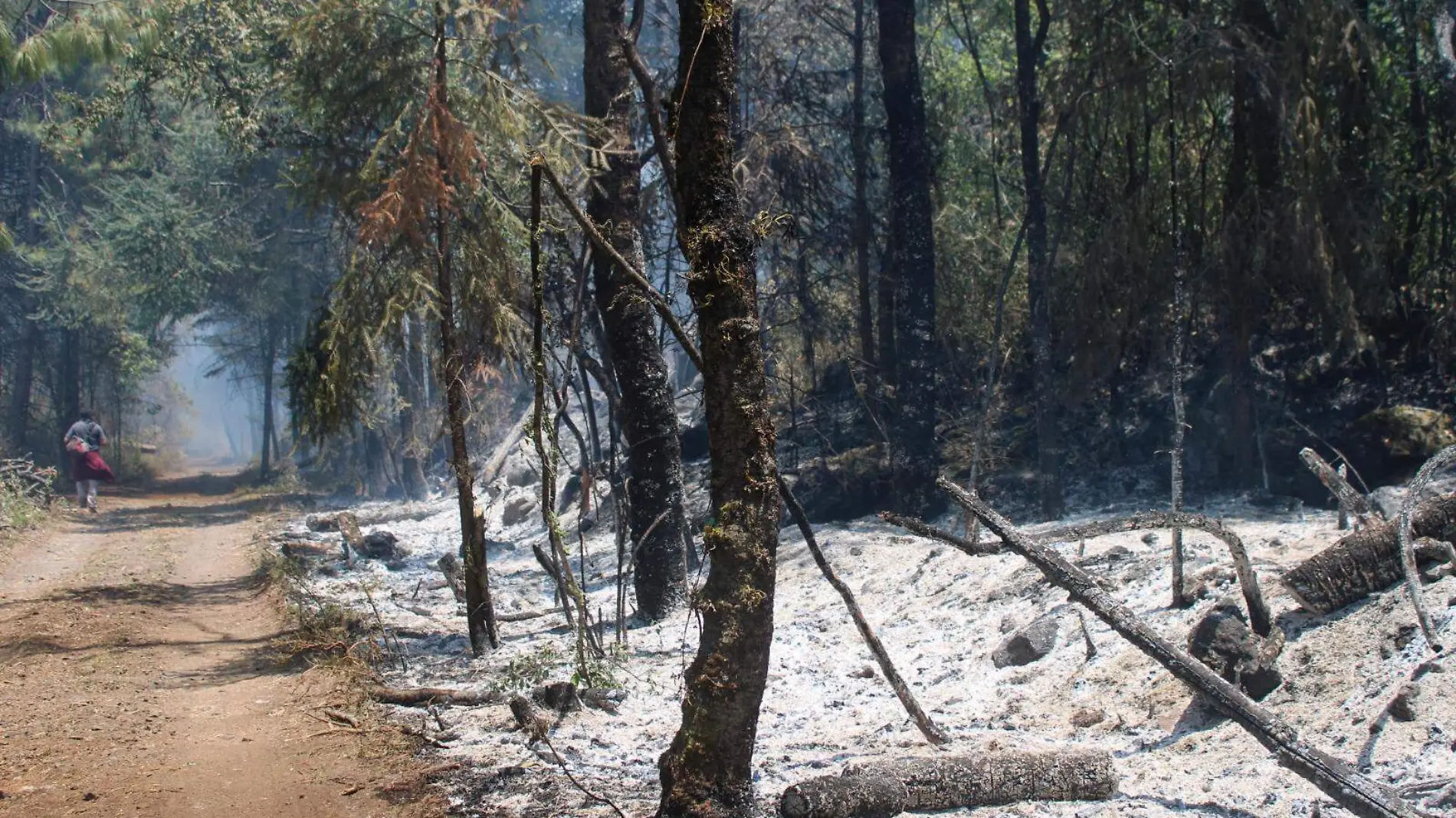 incendio-forestal-huitzilac