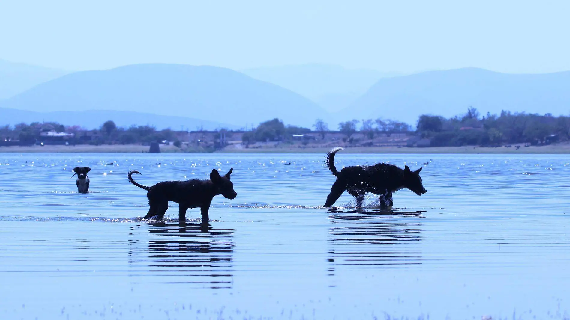 laguna-rodeo-miacatlán-morelos-margarito-perez-cuartoscuro