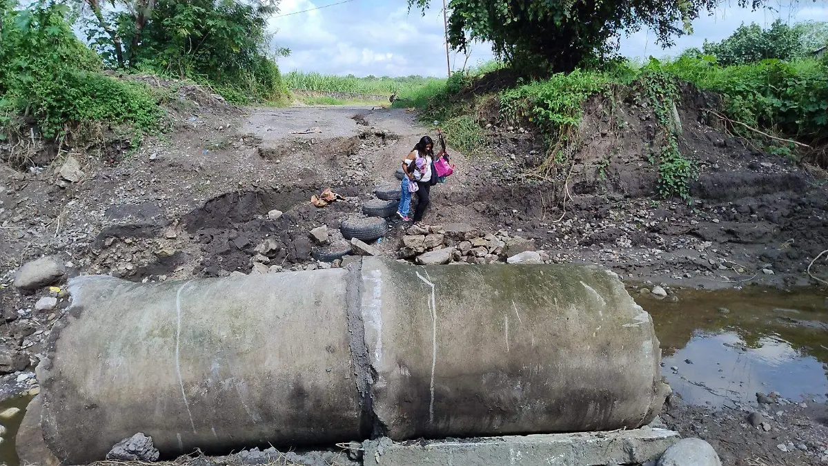 puente-provisional-angelina (1)