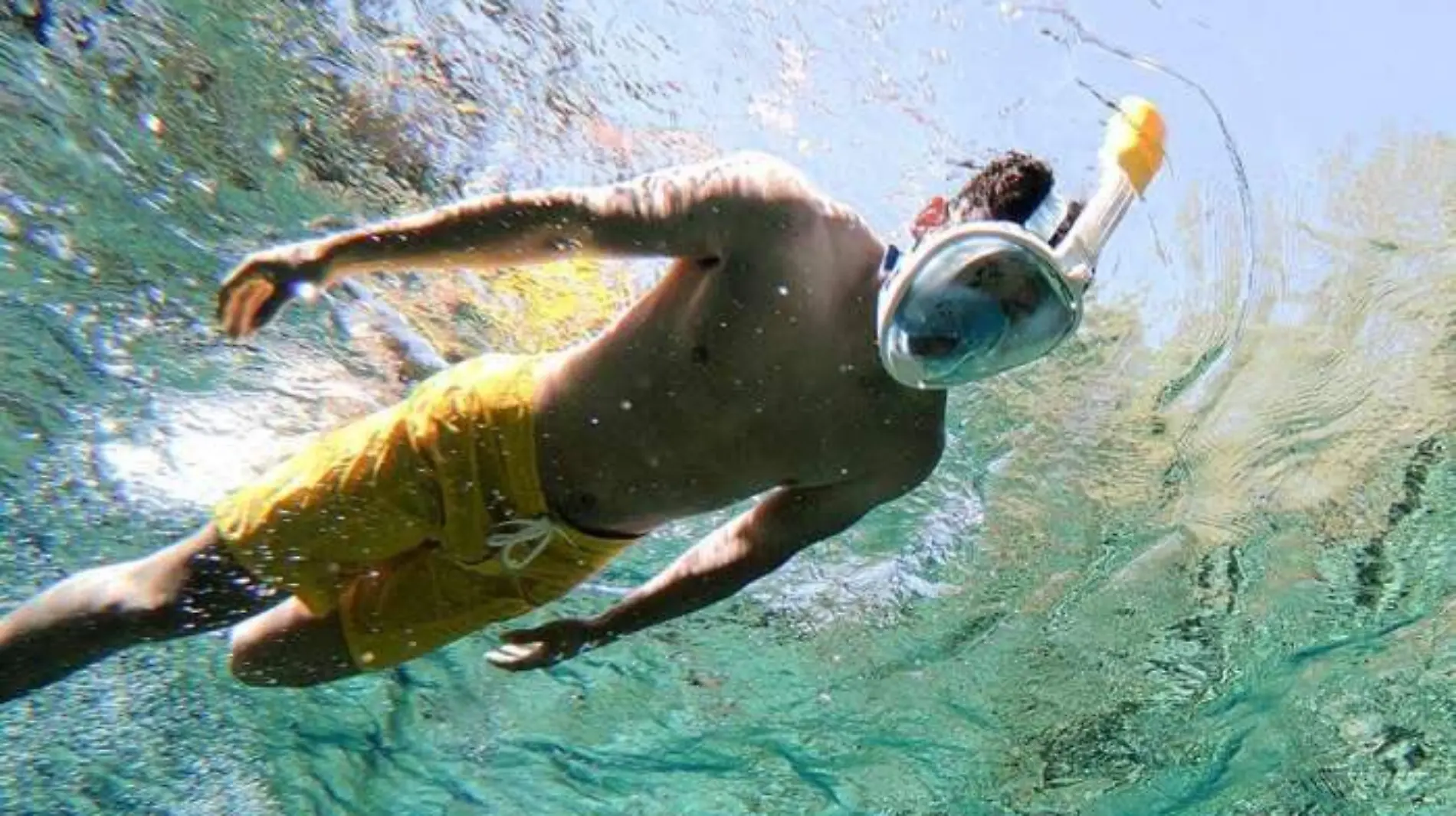 snorkeling-las-estacas-morelos 