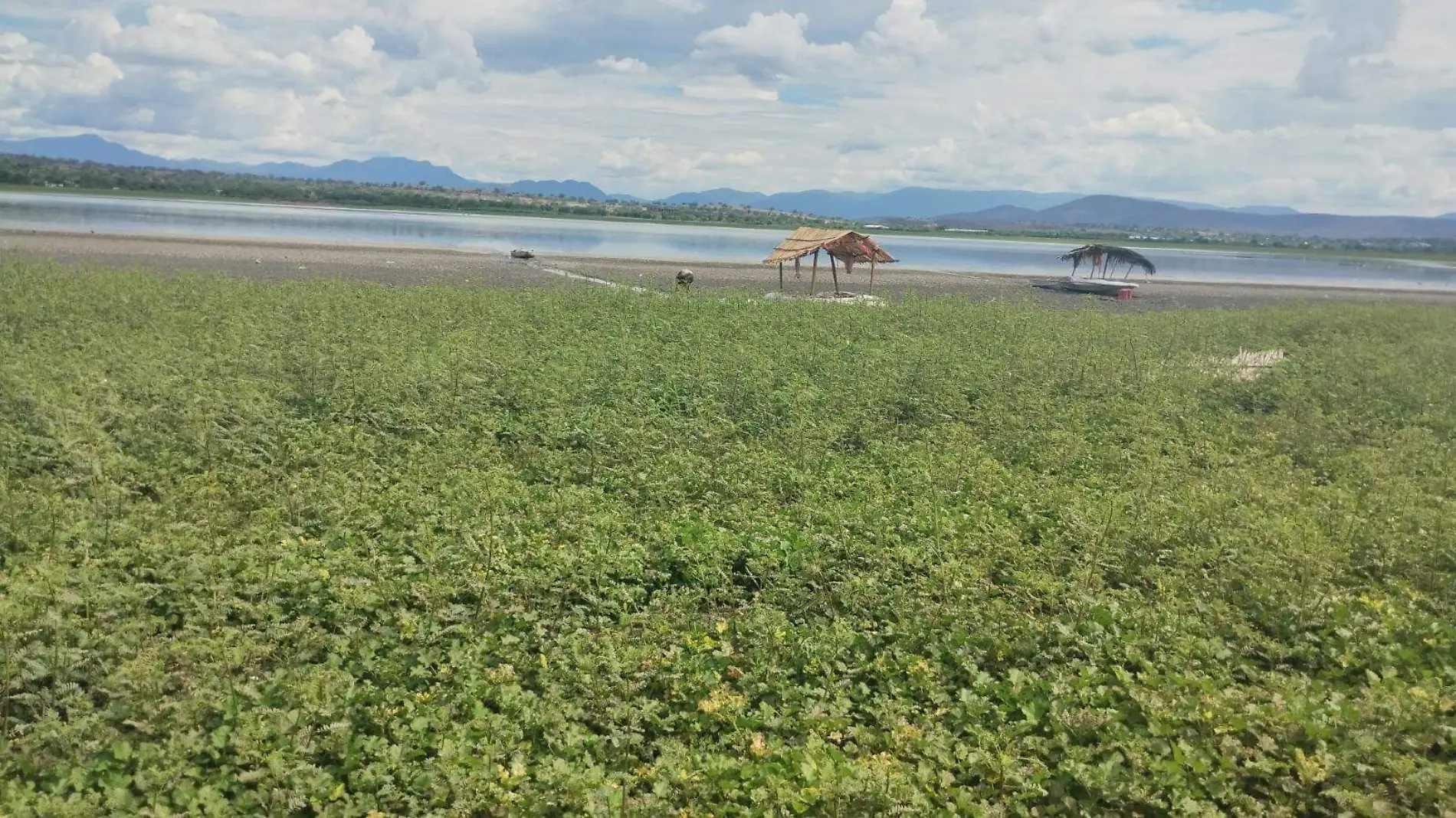 laguna-coatetelco-se-seca-angelina-albarrán