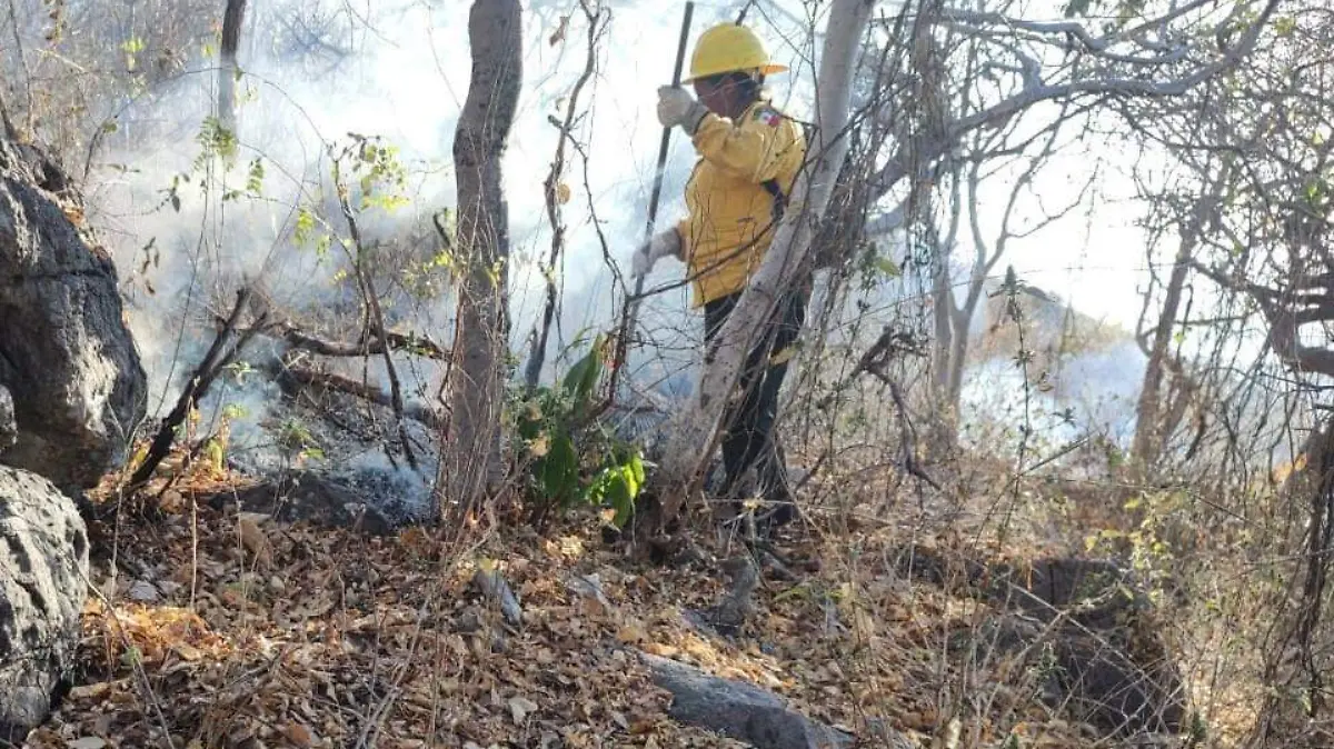 incendios-forestales-sds-cortesia