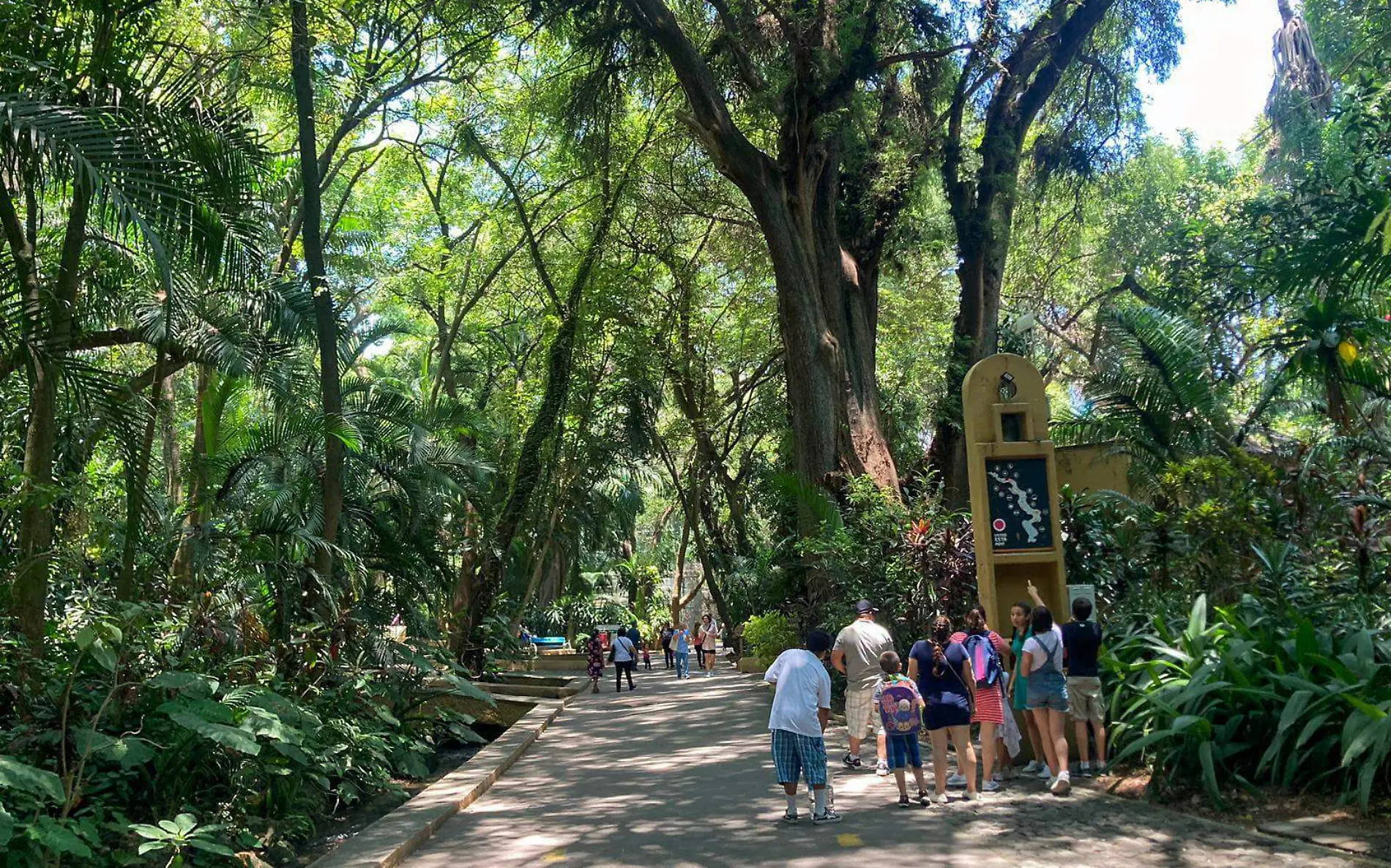 familia-parque-barranca-chapultepec