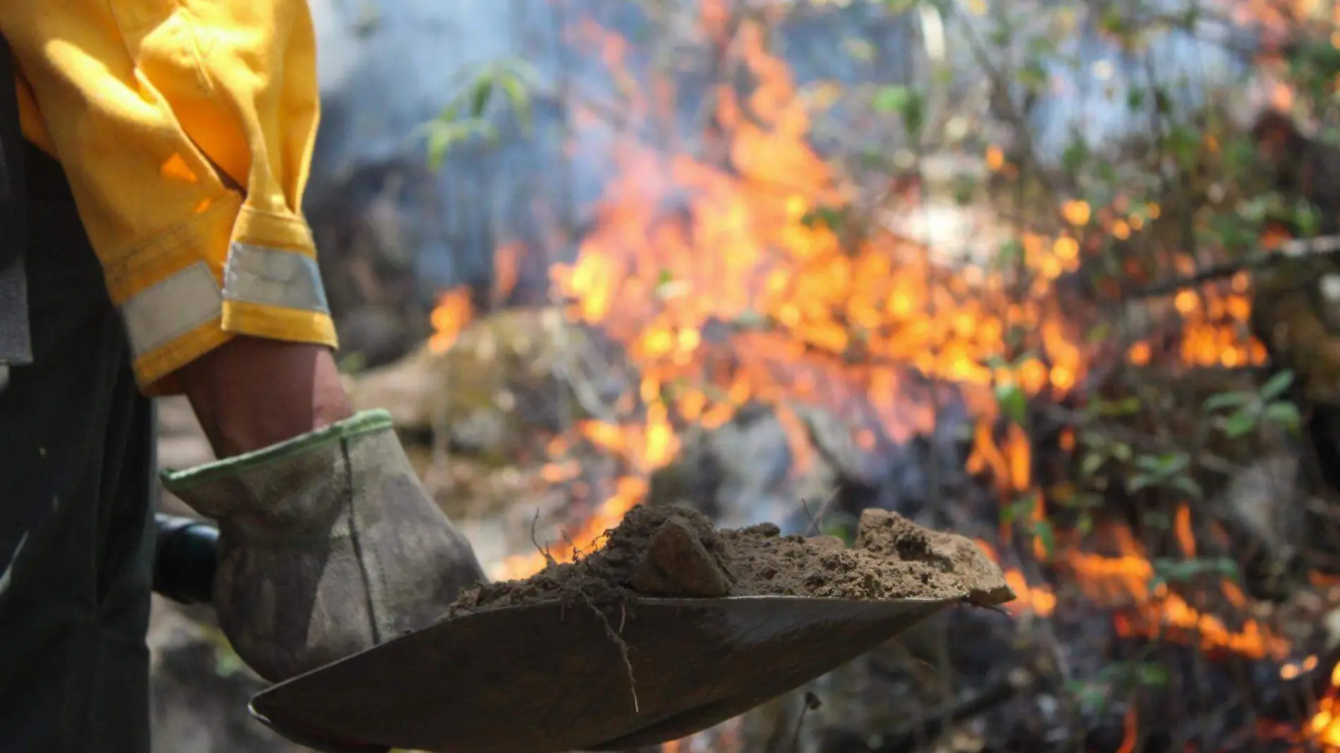 incendio-huitzilac-gobierno-morelos