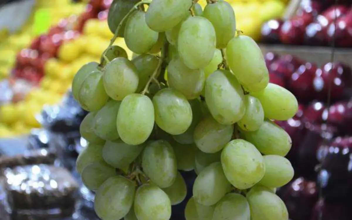 uvas-verdes-comercios-morelos-