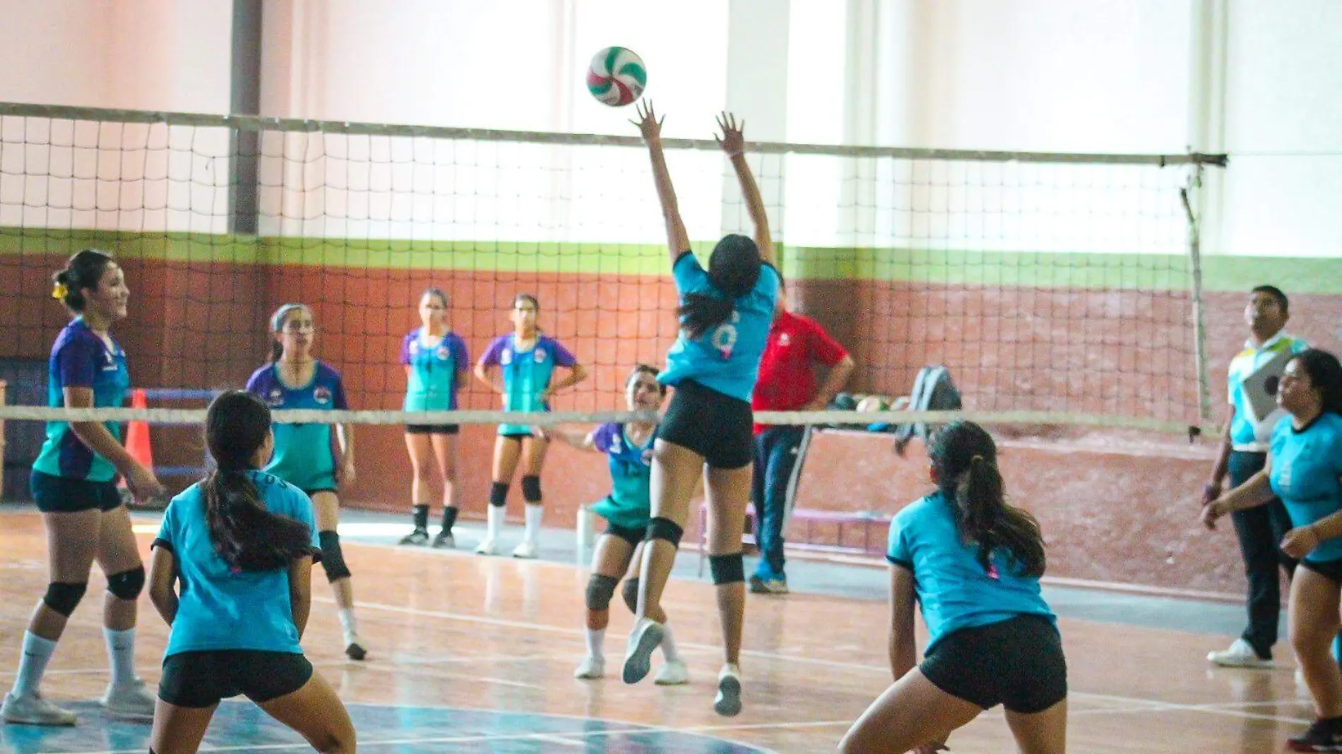 torneo-voleibol-semilleros-deportivos