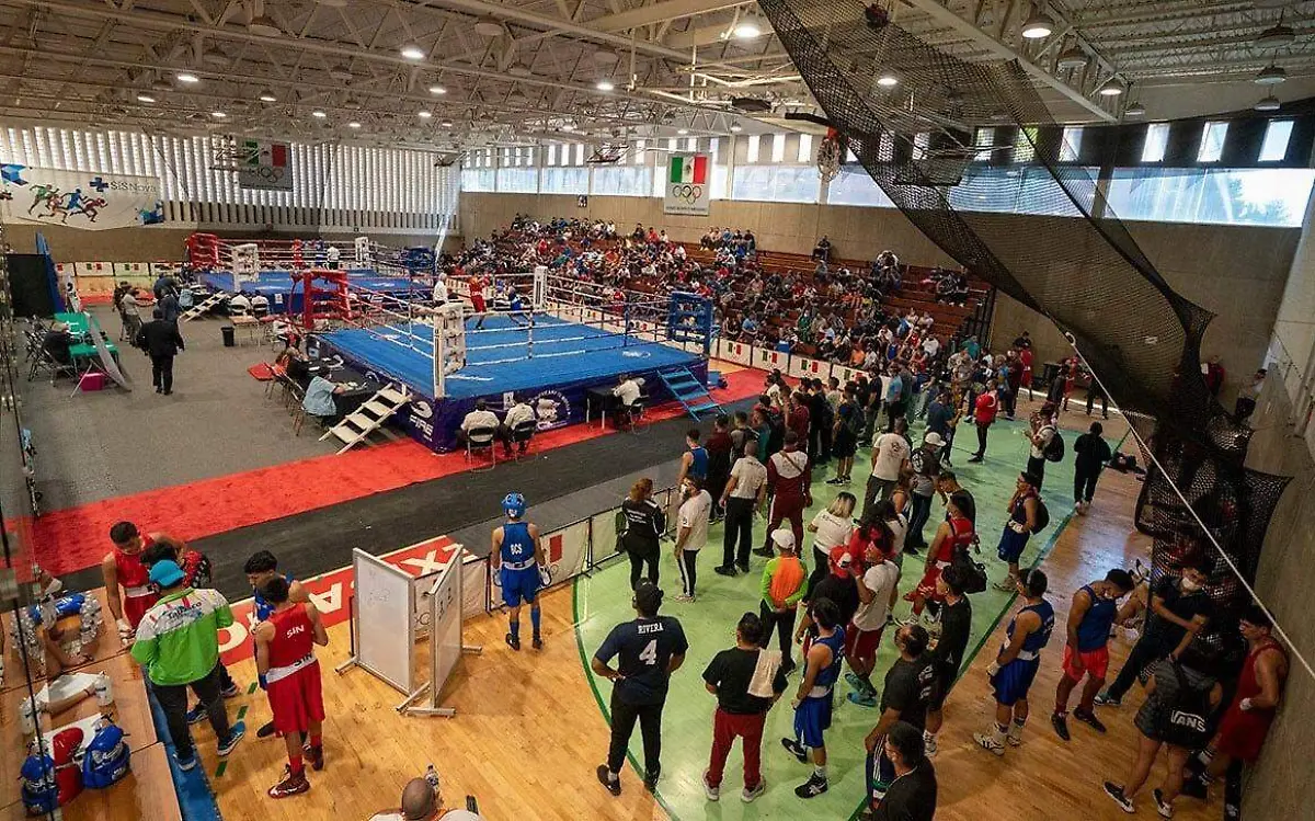 festival-olimpico-boxeo