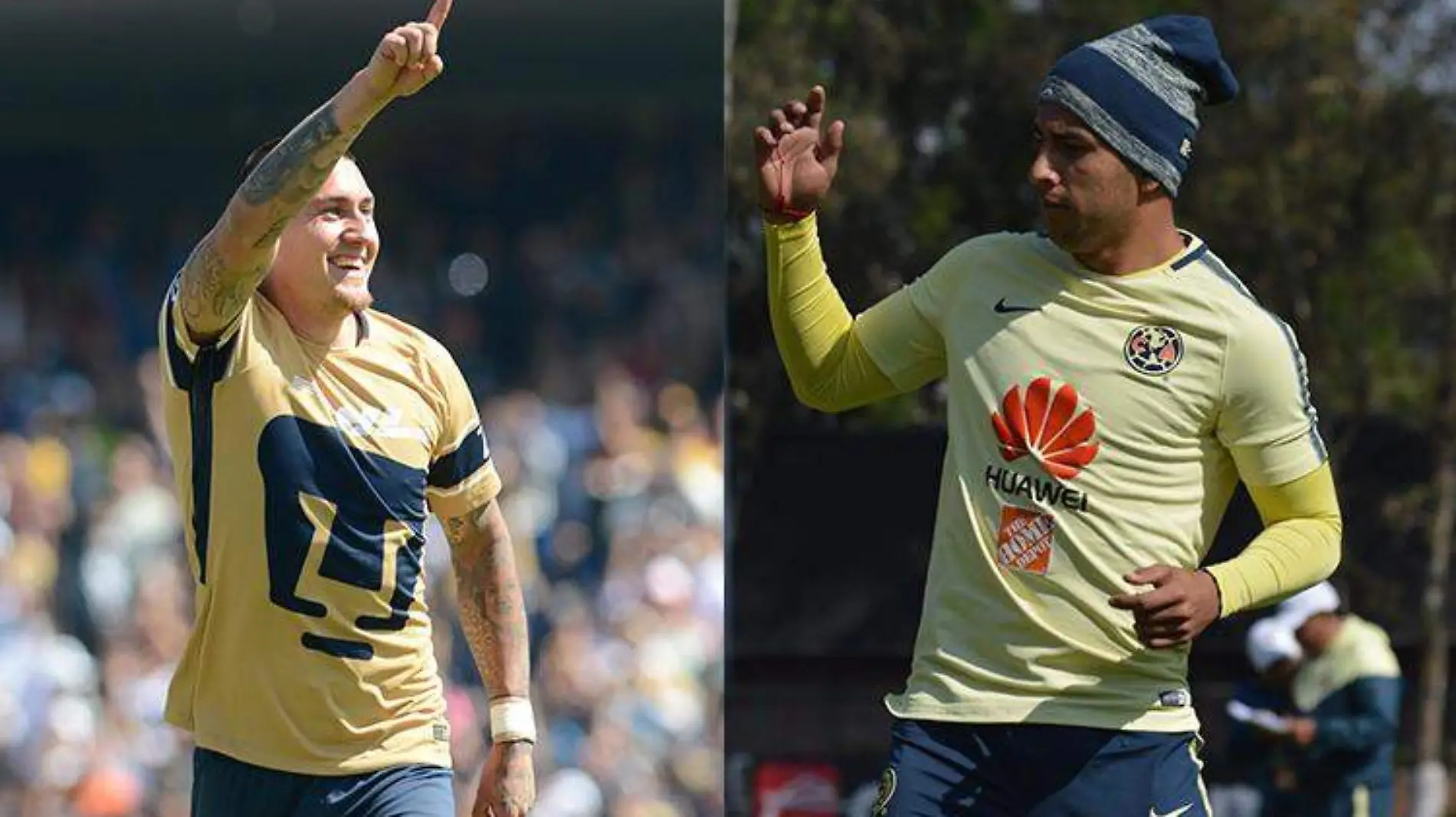 ame-pumas