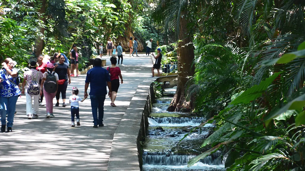 parque-chapultepec-archivo