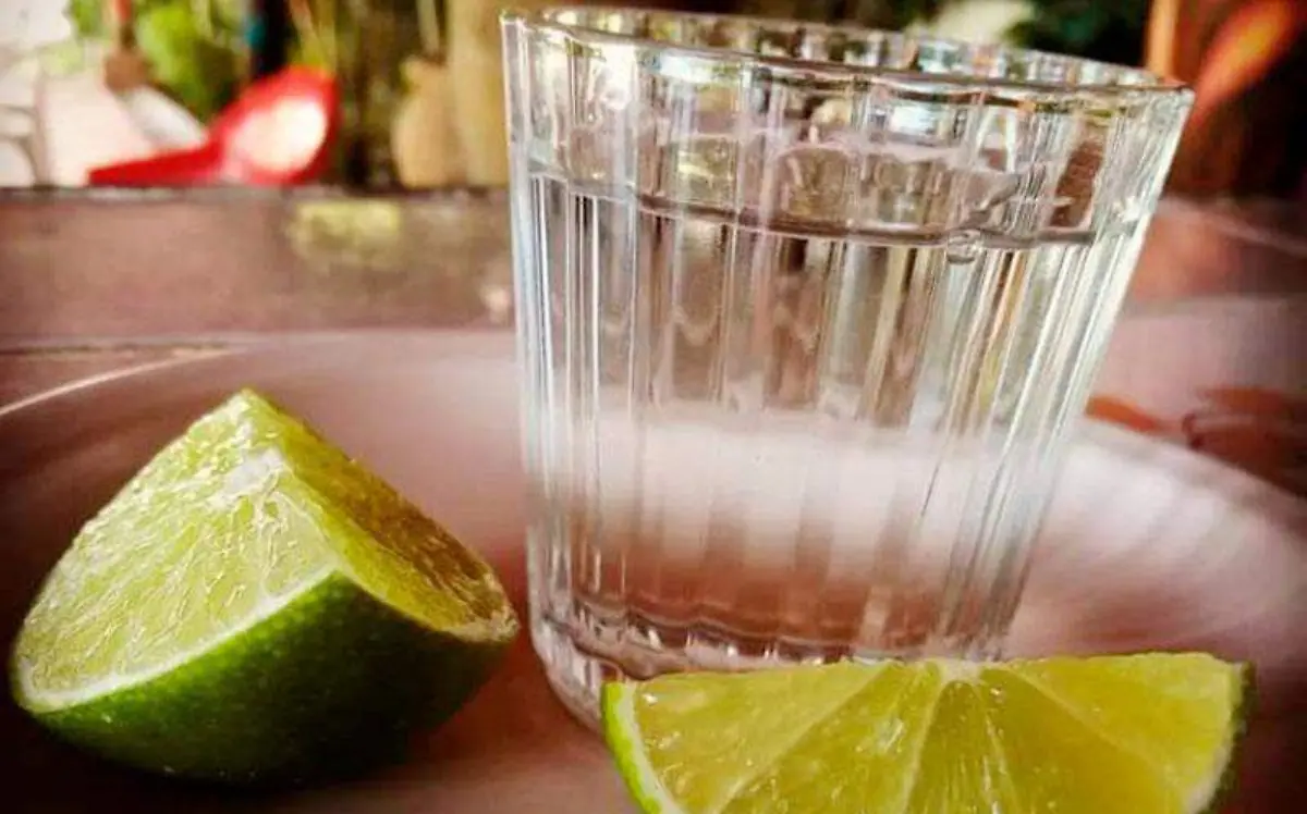 mojarras-y-mezcal-coatetelco-2