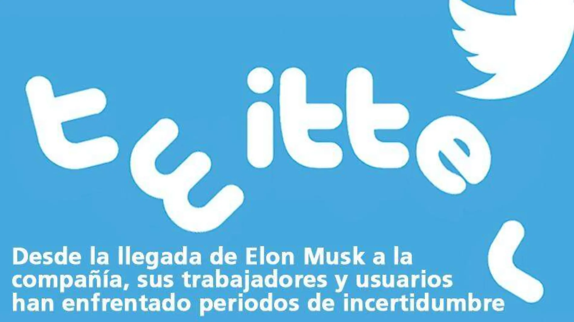 tuiter-elon-musk