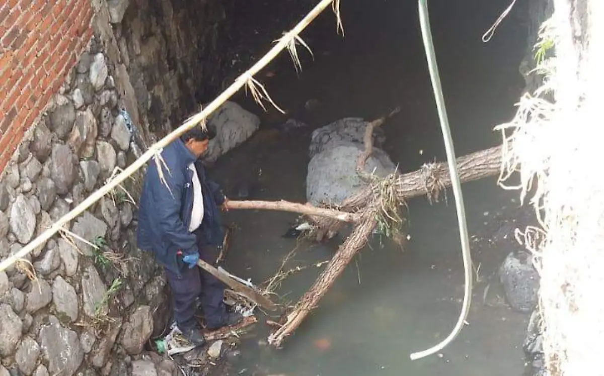 Ramas cayeron sobre canales, obstruyendo el flujo del agua