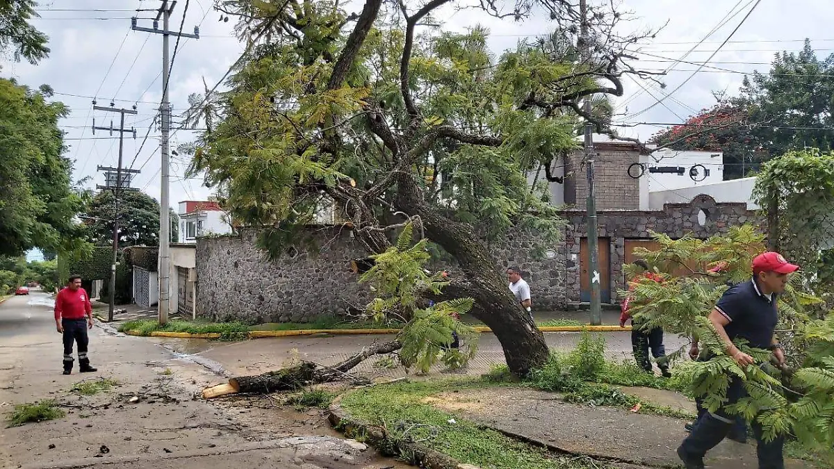 Emergencias Cuernavaca (4)