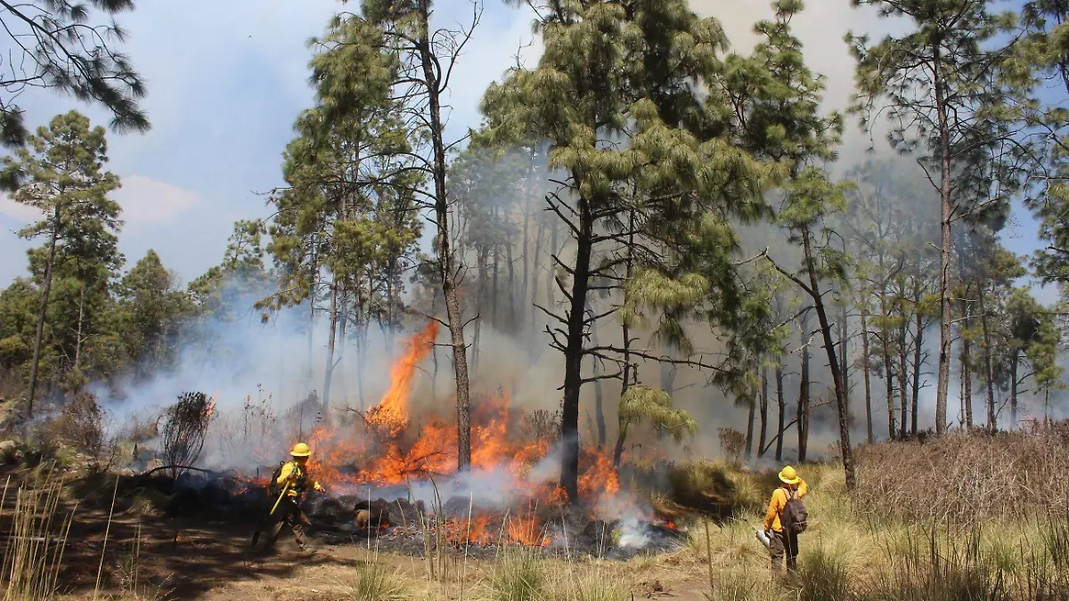 Incendio consume hectáreas de pastizales en Huitzilac