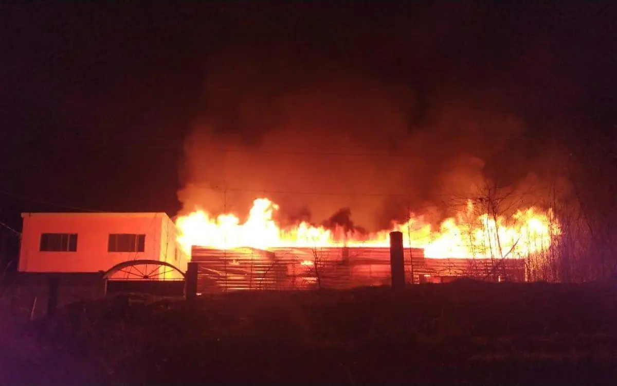 WhatsApp Image 2019-03-23 at 9.36.07 PM