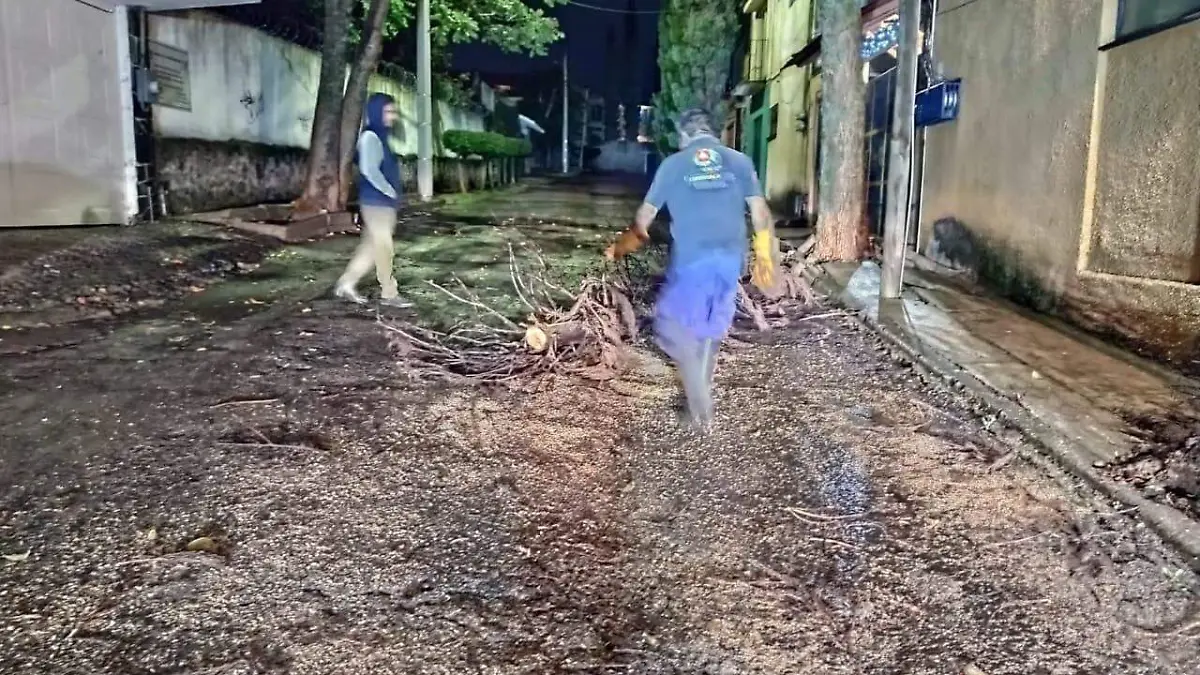 daños-lluvias-cortesía2