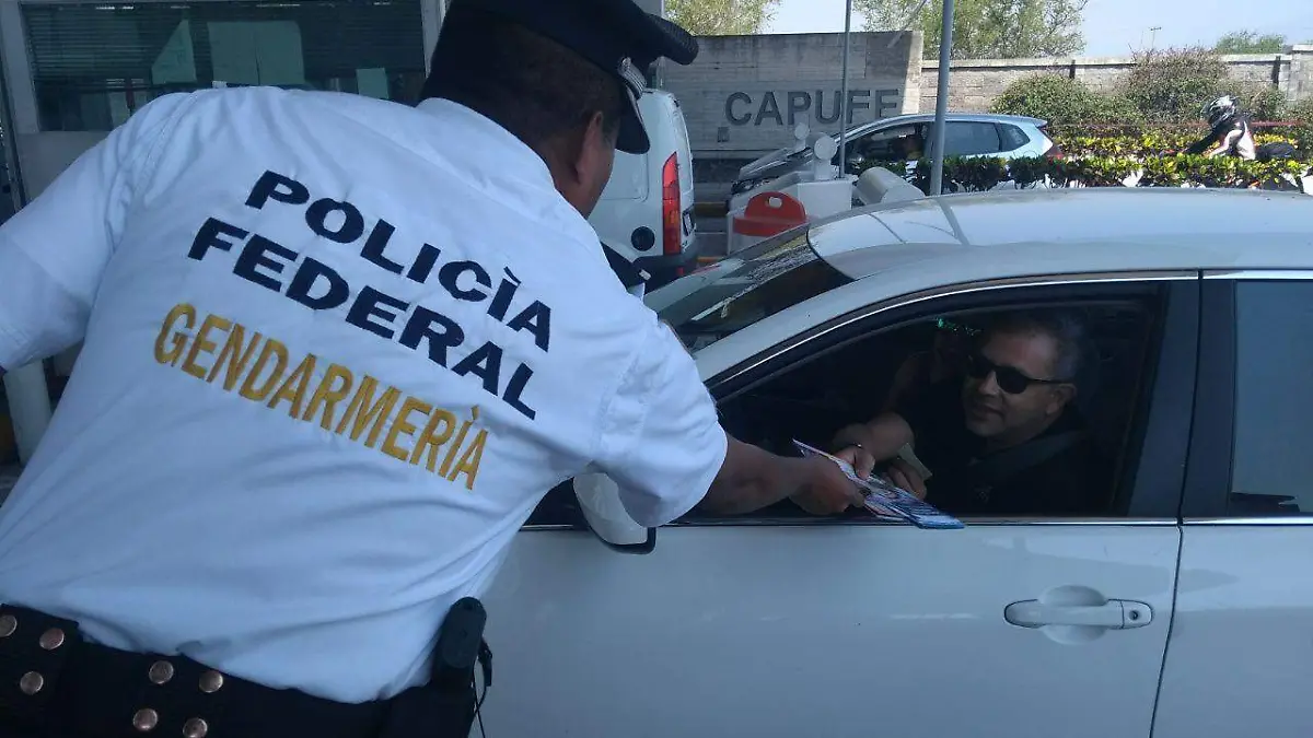 Vacaciones Seguras de la Policía Federal (8)