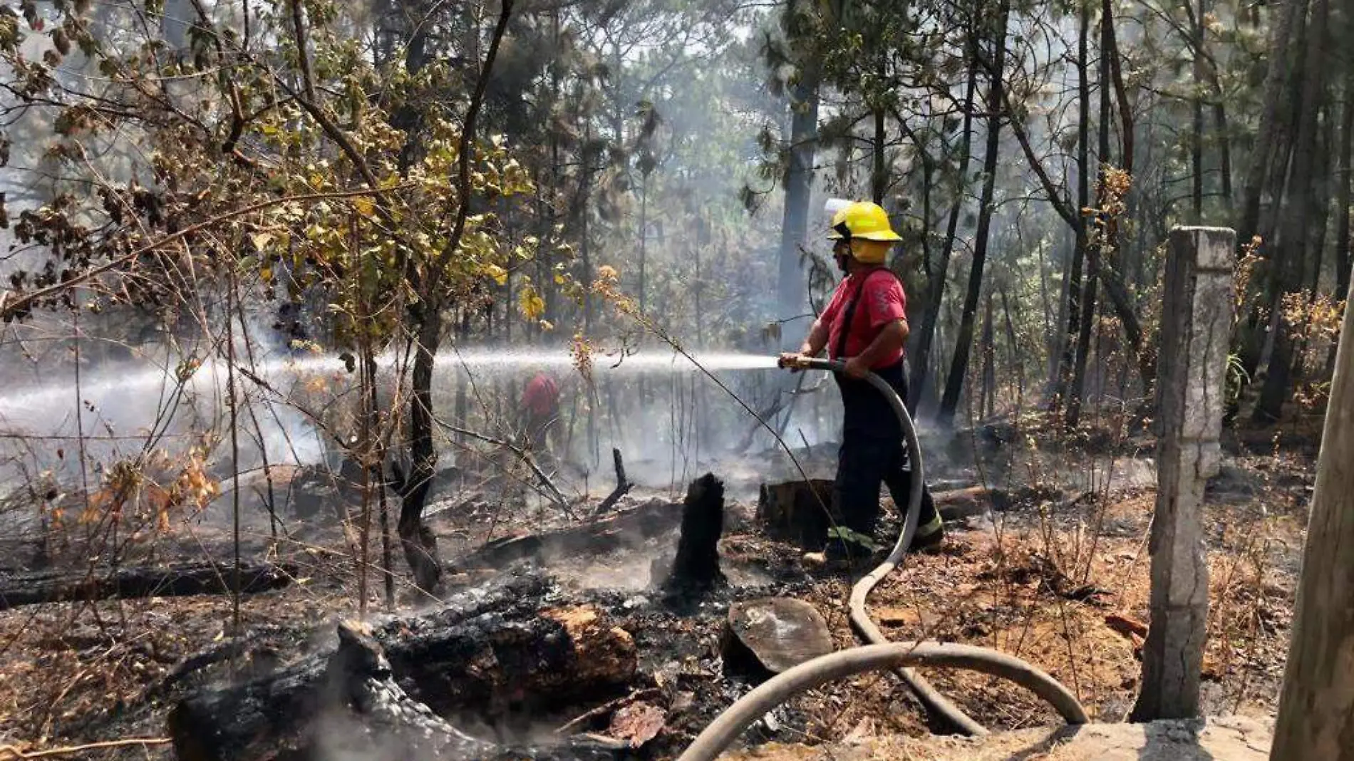 incendios-forestales-morelos-agustin-espinoza