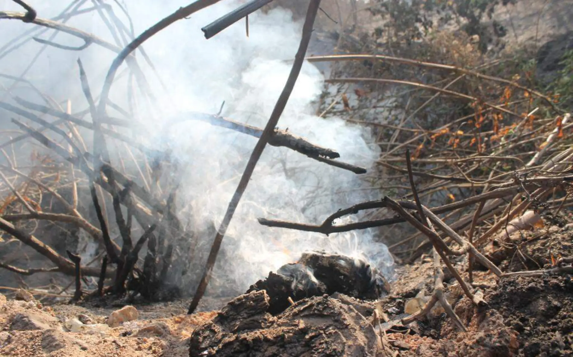 incendios-forestales-morelos-agustin-espinoza-3