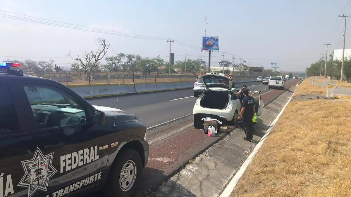 Putrefacto en Amacuzac