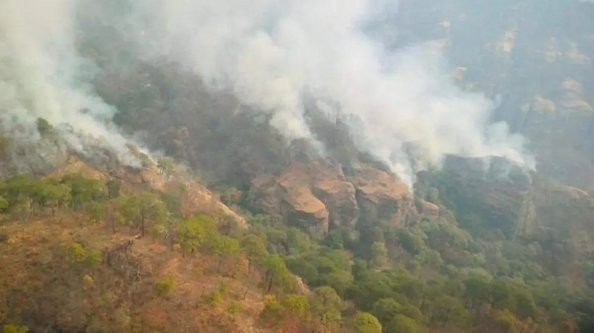 Incendio en el paraje de Tepoztlan 2021