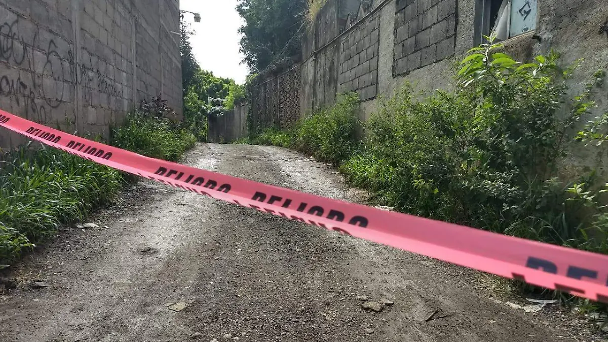 WhatsApp Image 2018-08-21 at 10.53.06