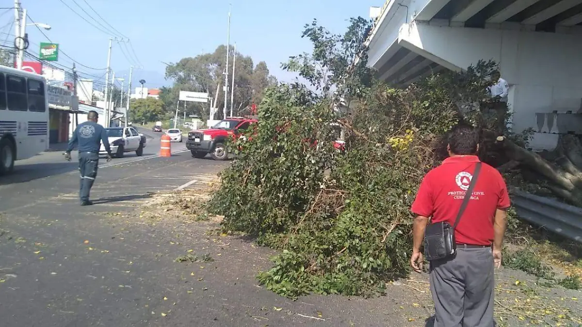 WhatsApp Image 2019-12-01 at 14.32.28