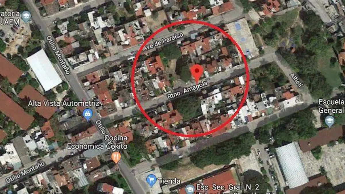 Retorno amapola en Alta Vista