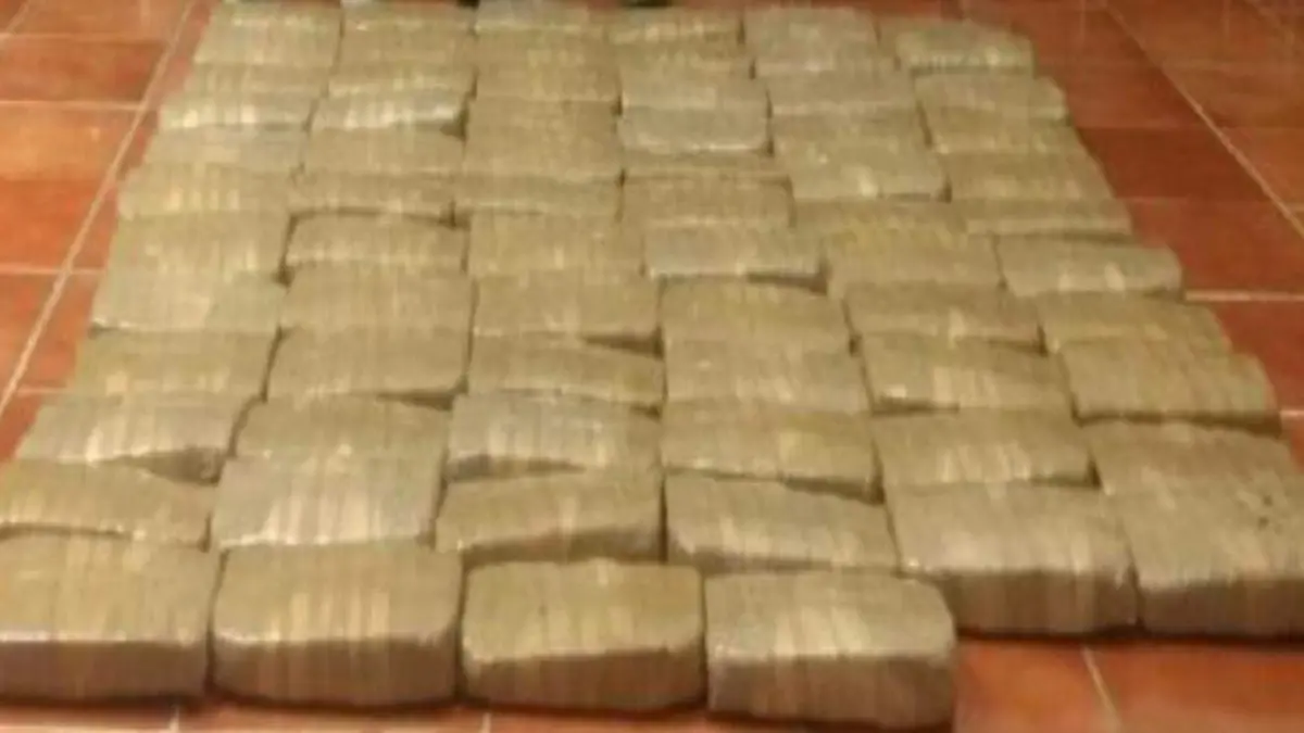 WhatsApp Image 2019-10-19 at 3.43.07 PM