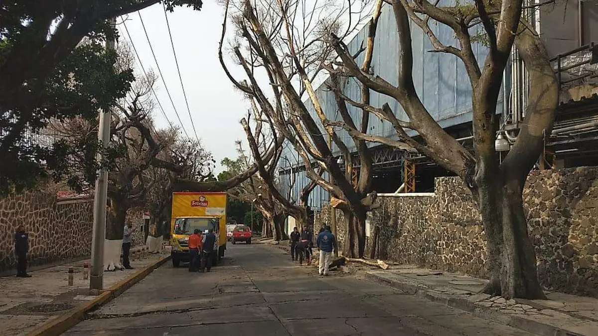 rama-cae-en-vehiculo-en-cuernavaca