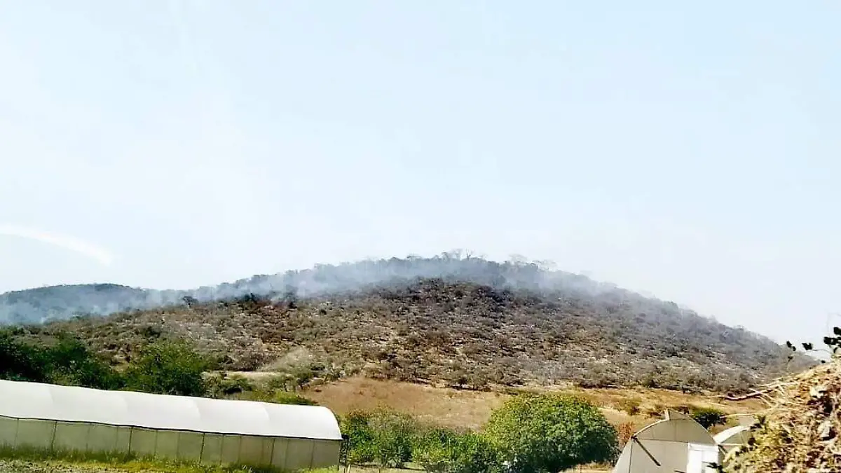 incendios-forestales