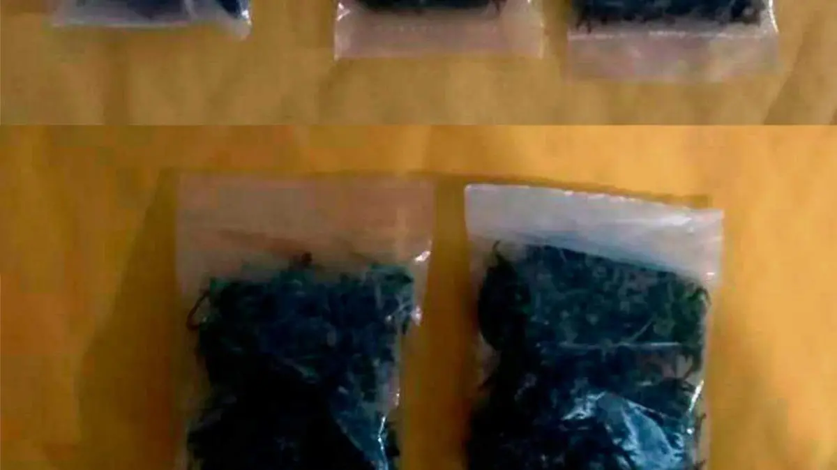 Detenidos en tlaltizapán con armas y droga (4)