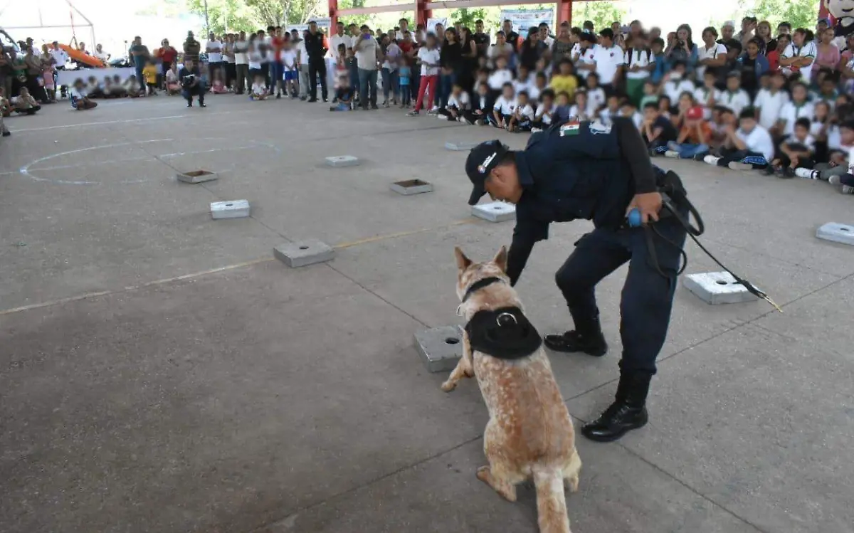 WhatsApp Image 2019-07-06 at 2.08.15 PM