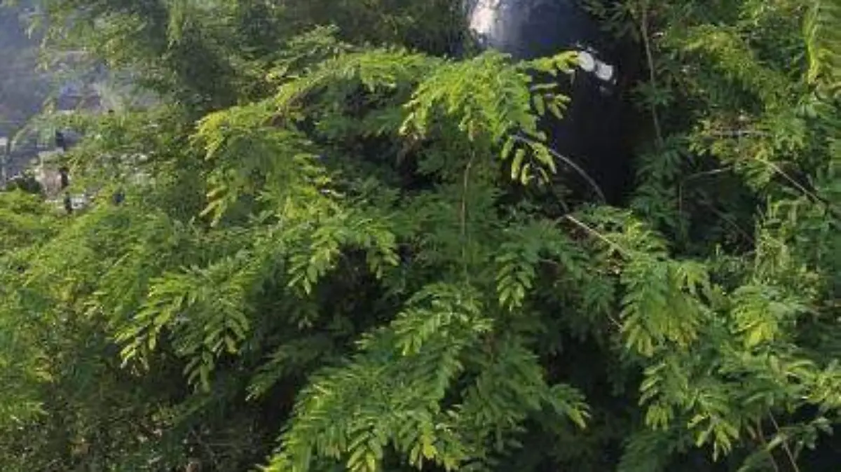 tinaco-cuernavaca