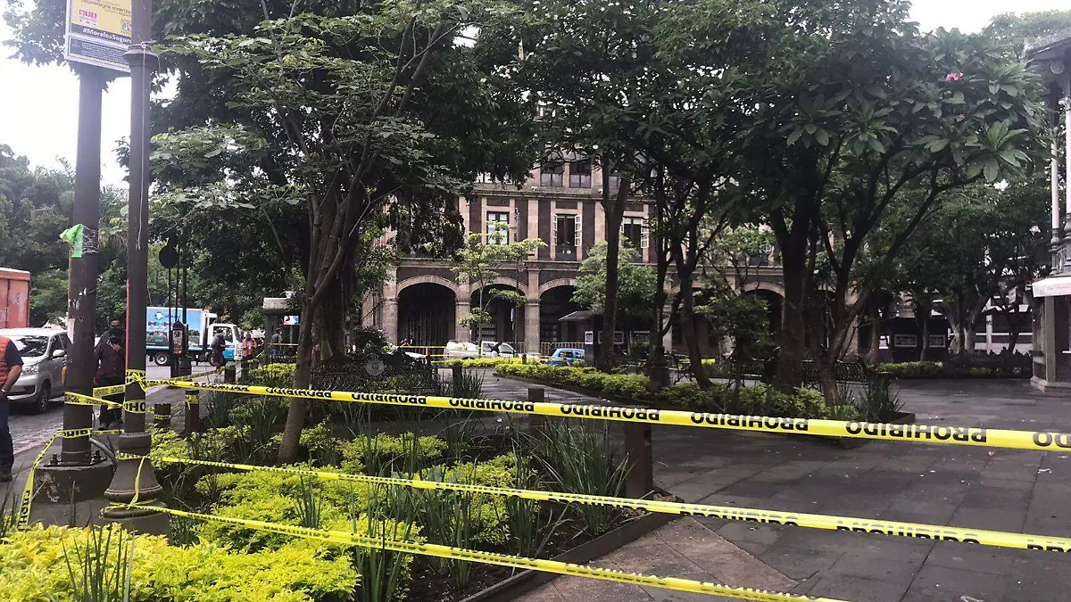 poda-preventiva-cuernavaca (1)