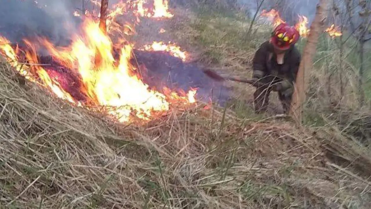 Incendios Cuernavaca (1)