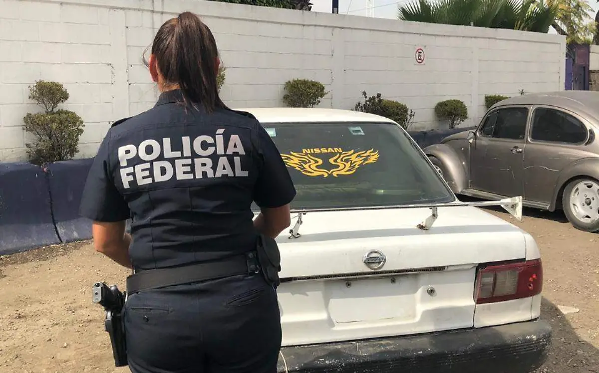 Permiso apócrifo en el oriente (2)