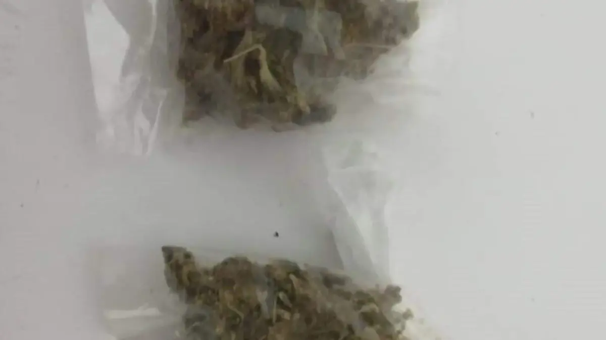 Portación de marihuana (2)