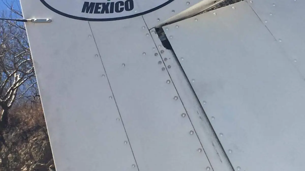 Desplome de avioneta en la Cuernavaca-Chilpancingo (4)