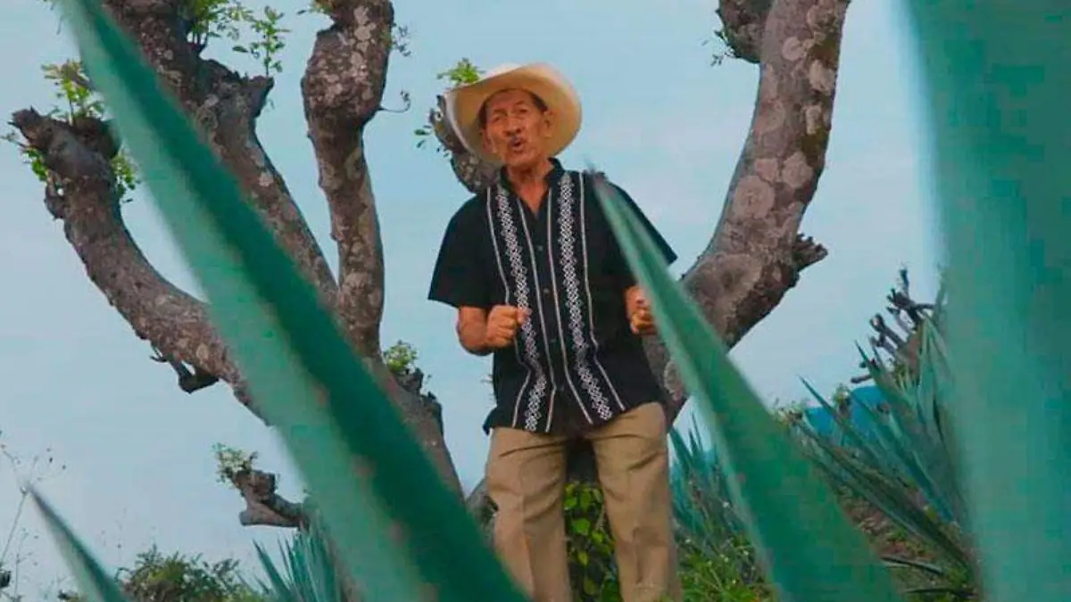 don-antonio-vences