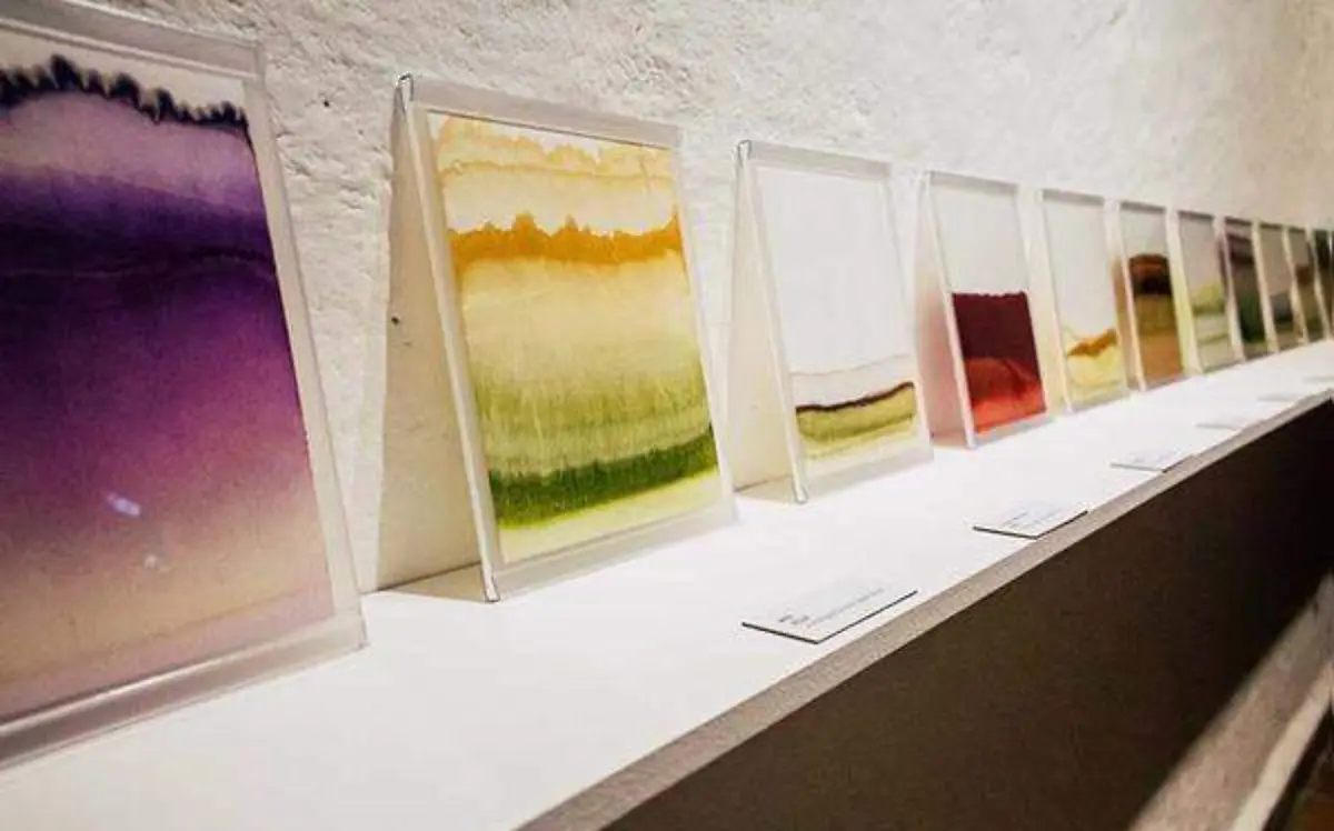 "Botánica invisible" de María Ramos/ Archivo