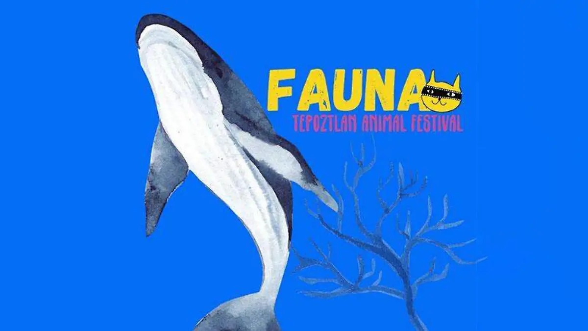 fauna-tepoztlan-animal-festival-1