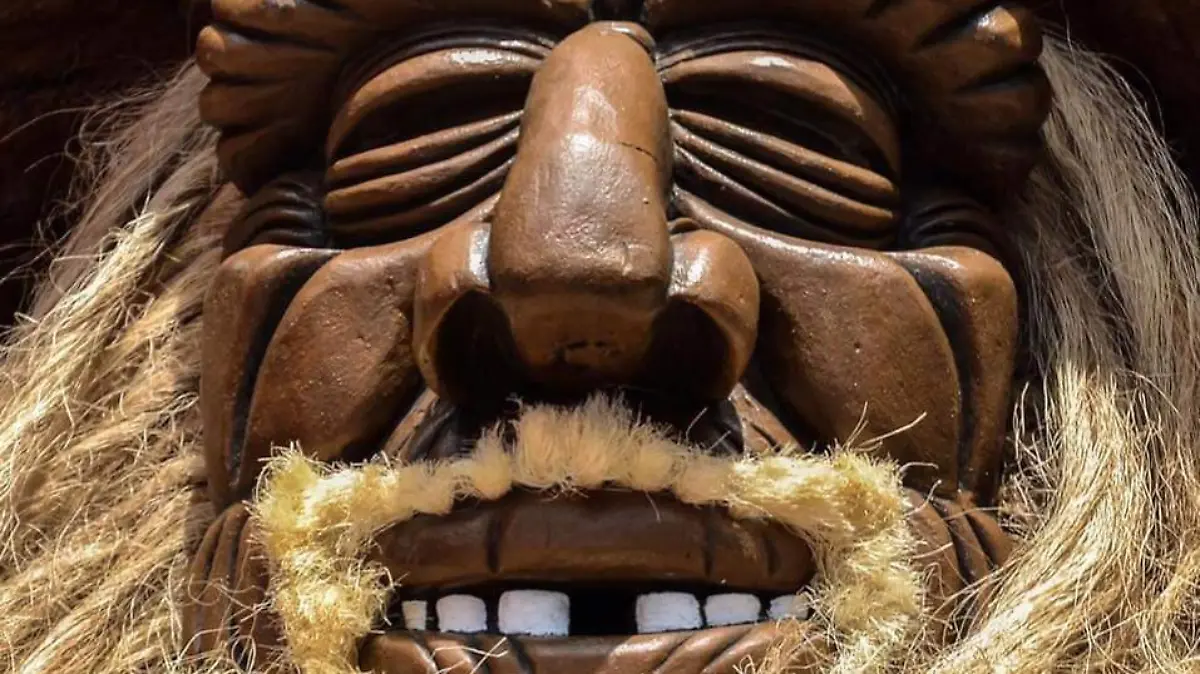 Dan un amplio conocimiento de lo que hay en otros países.