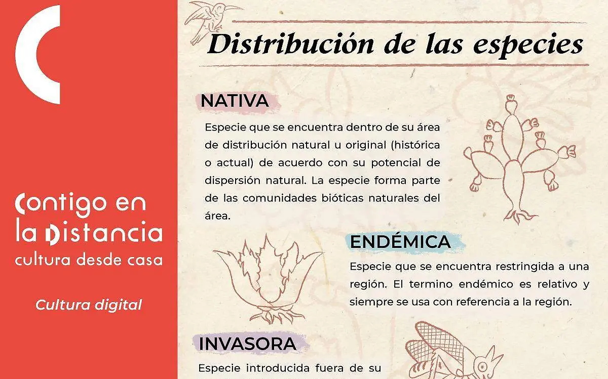 Contigo en la Distancia