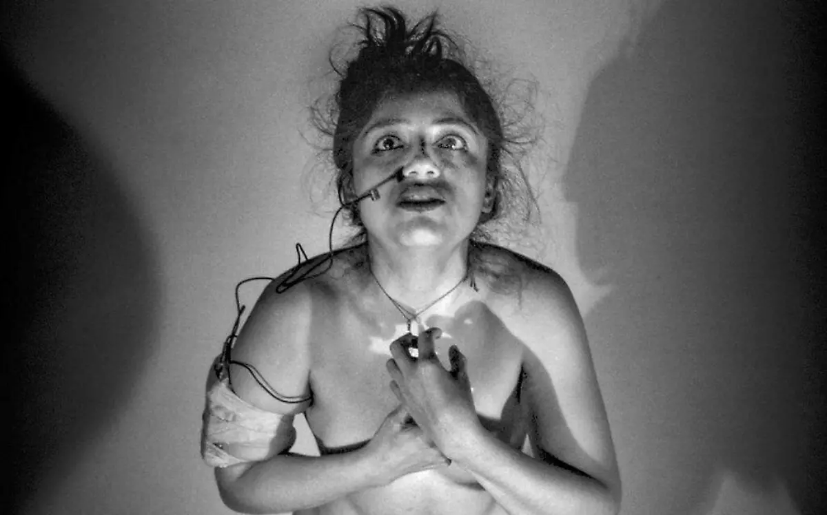 Pájara de Cúrcuma (2)